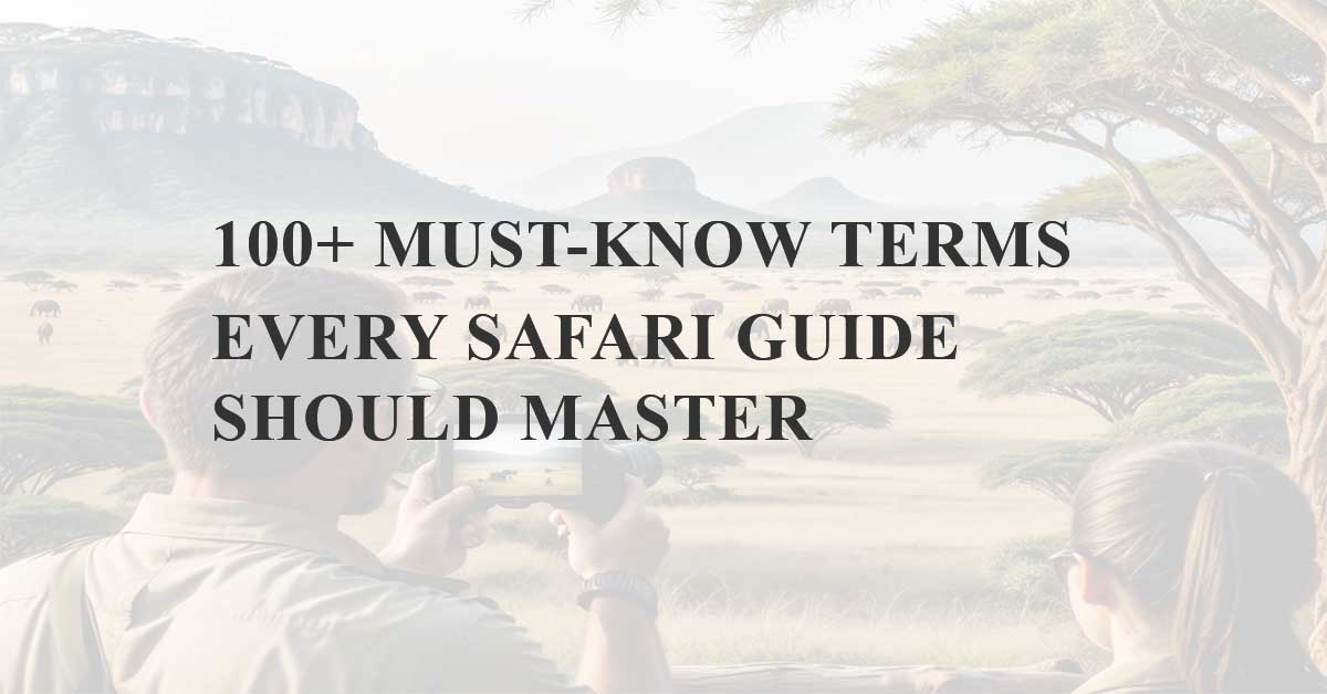 100+ Must-Know Terms Every Safari Guide Should Master