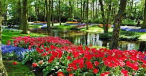 Discover the Health Benefits of Flower Viewing and Floral Tourism