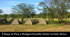 5-Steps-to-Plan-a-Budget-Friendly-Safari-in-East-Africa-for-First-Time-Travelers