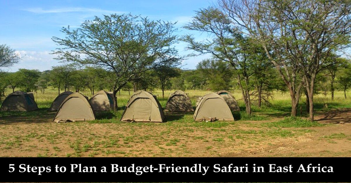5-Steps-to-Plan-a-Budget-Friendly-Safari-in-East-Africa-for-First-Time-Travelers