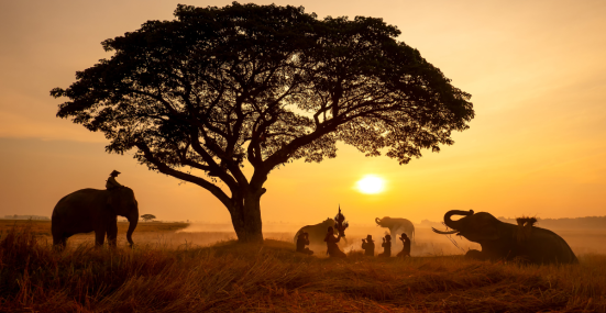 Before You Go on Safari in Tanzania: 8 Health Tips for a Comfortable Adventure 2 Before You Go on Safari in Tanzania: 8 Health Tips for a Comfortable Adventure